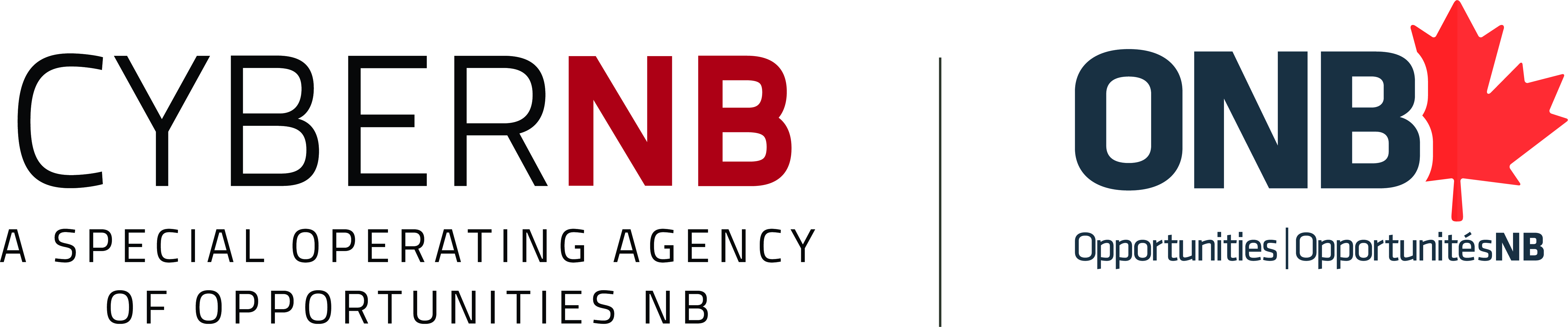 CyberNB Logo