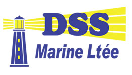 DSS Group of Companies Logo