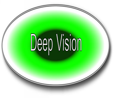 Deep Vision Inc.Logo