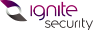 Ignite Security Solutions Group Logo