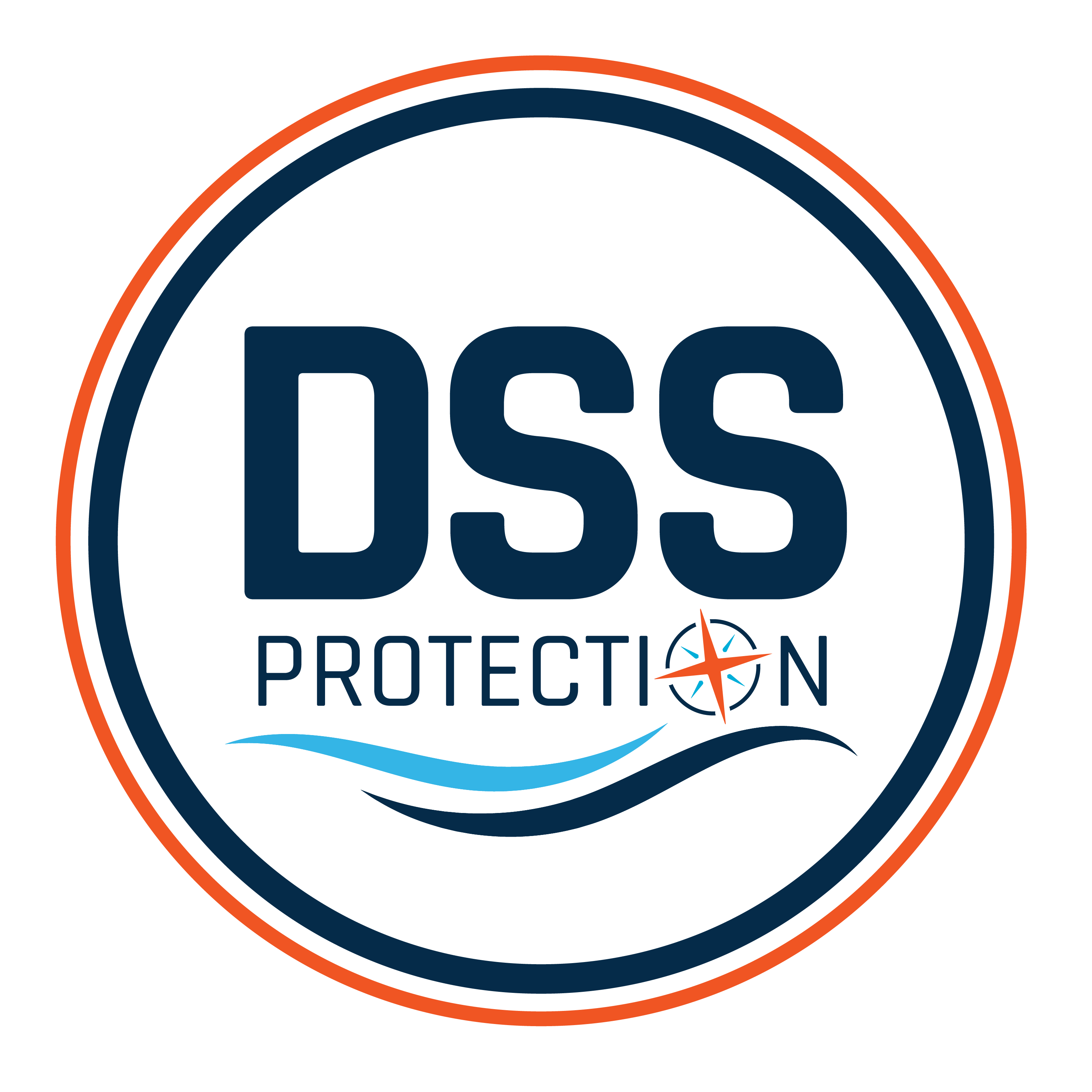 DSS Protection Logo