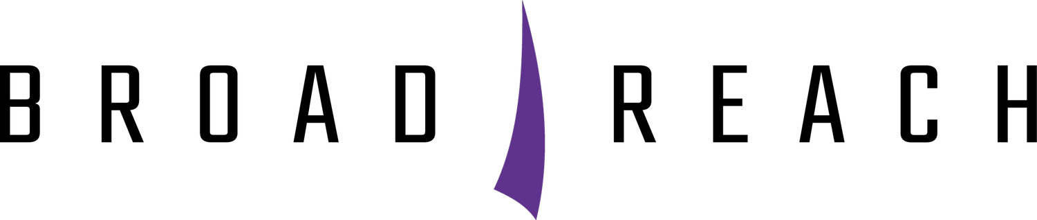 Broad Reach Group Inc. Logo