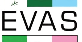 Exploits Valley Air Services Ltd. Logo